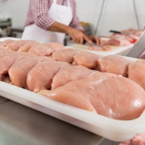 Foto de Filé de peito de frango